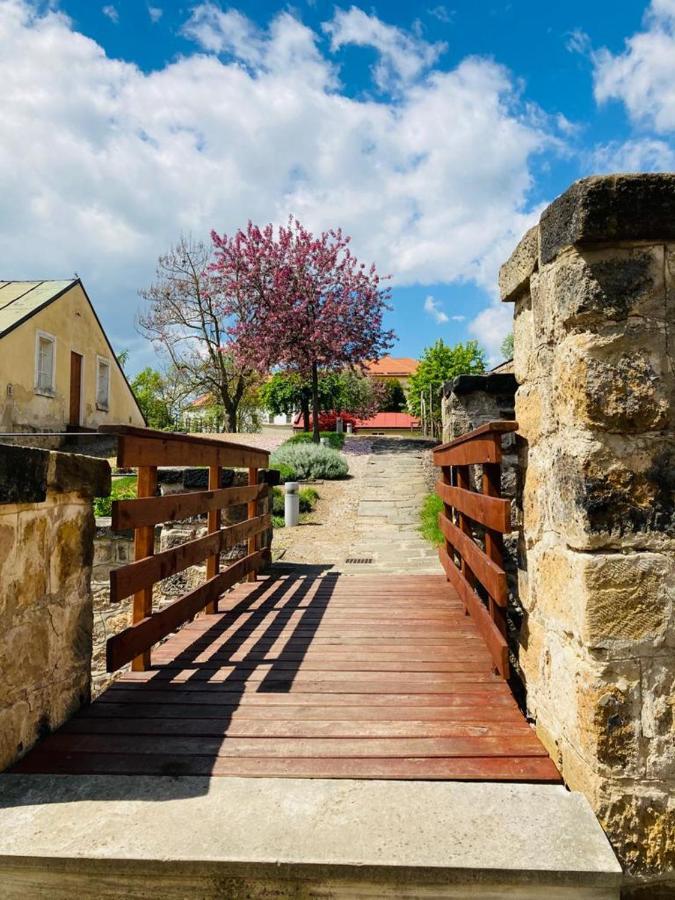 Apartmany Ivana Decin Exterior foto
